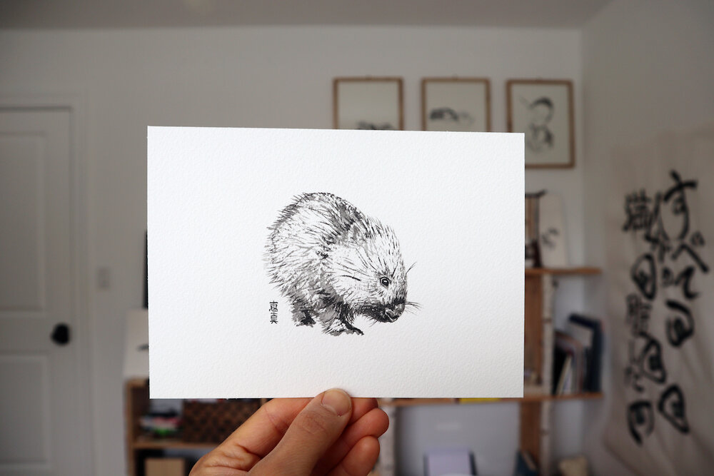 28full wombat copy.jpg