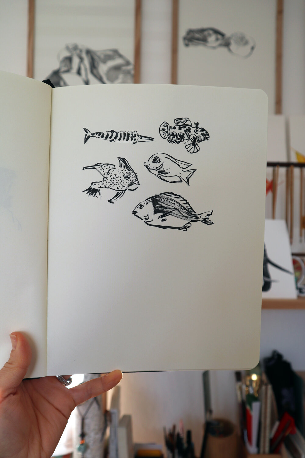 FishSketch.jpg