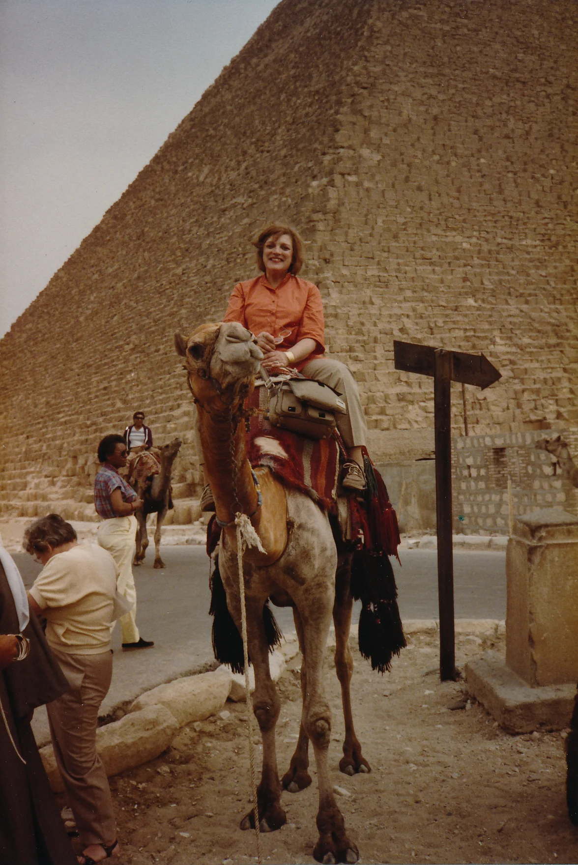 BLS on a camel in Egypt.jpeg