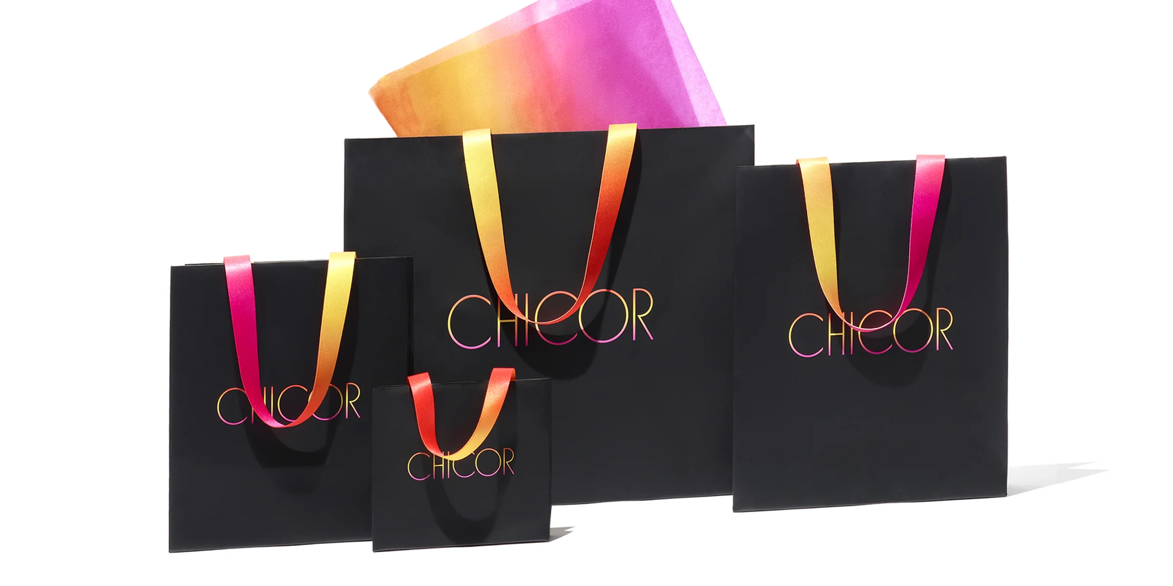 05Chicor__cs-ss.jpg