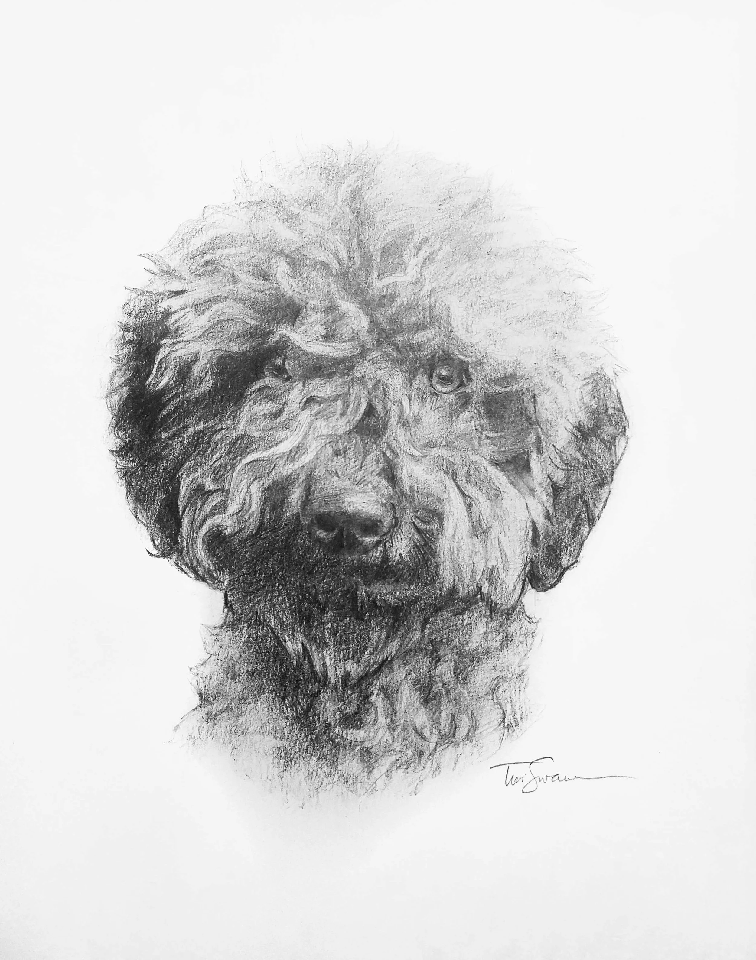 petportraitdrawing.jpg