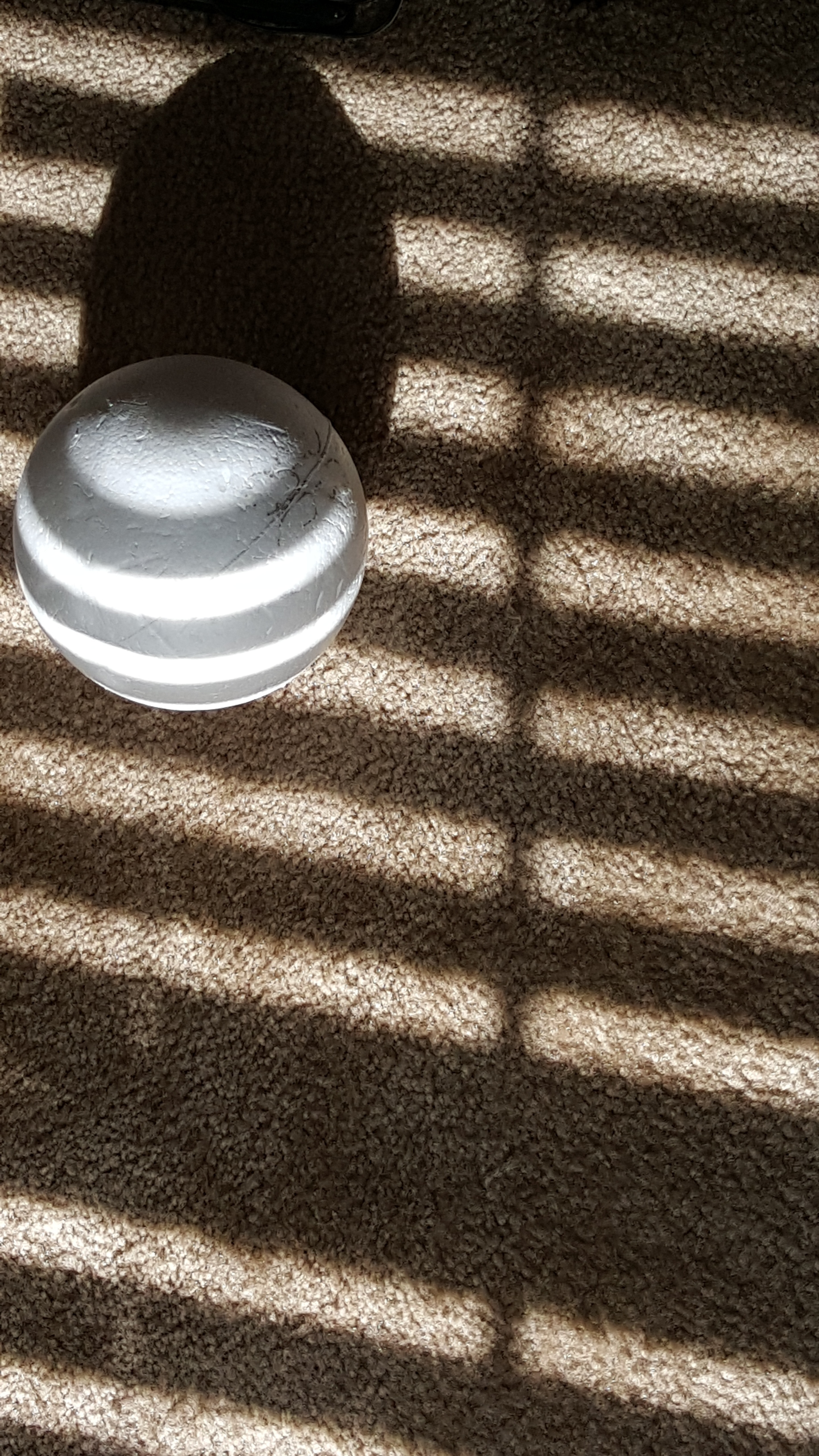 2015-08-08 09.24.58.jpg