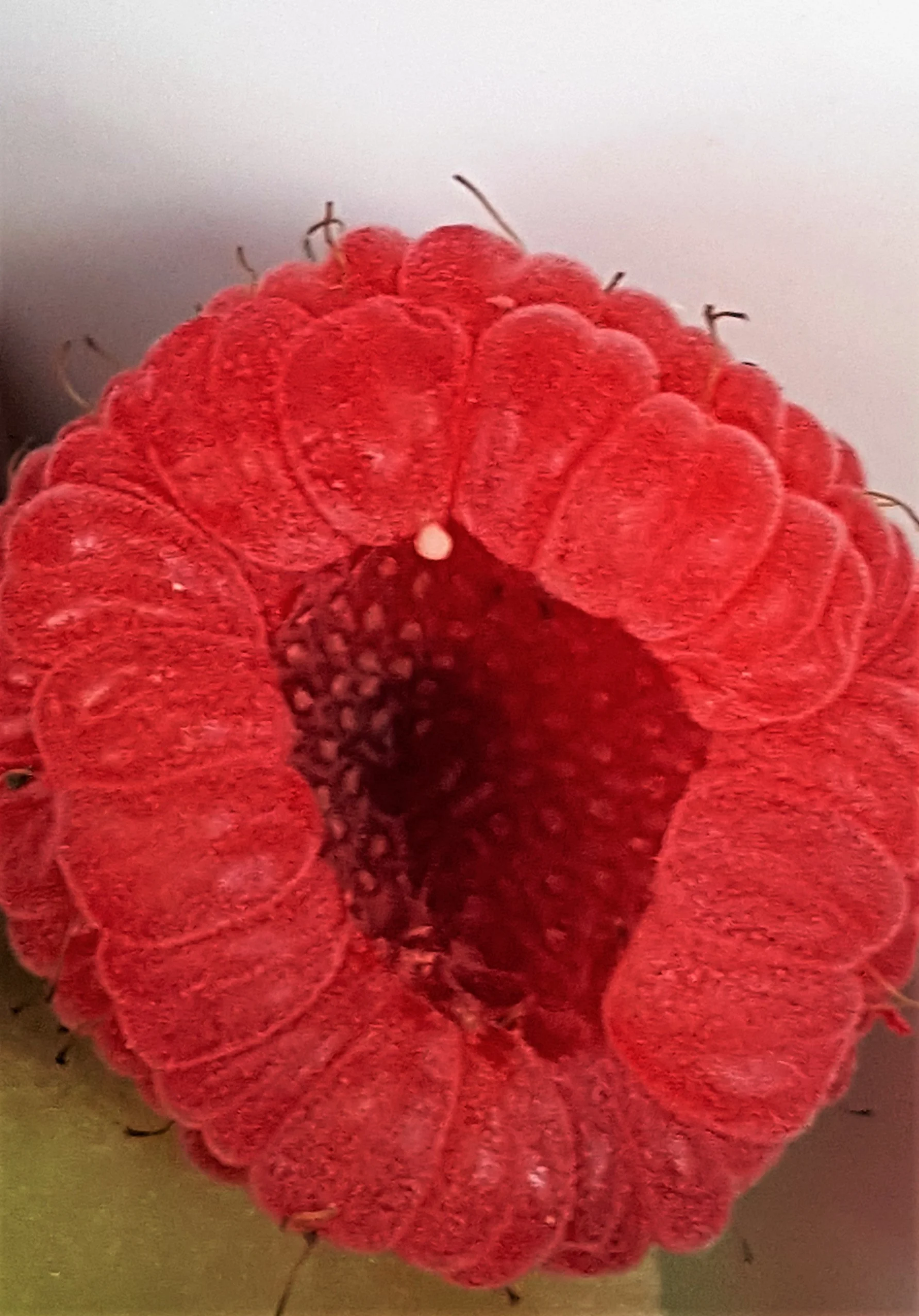 2015-11-14 09.03.56.jpg