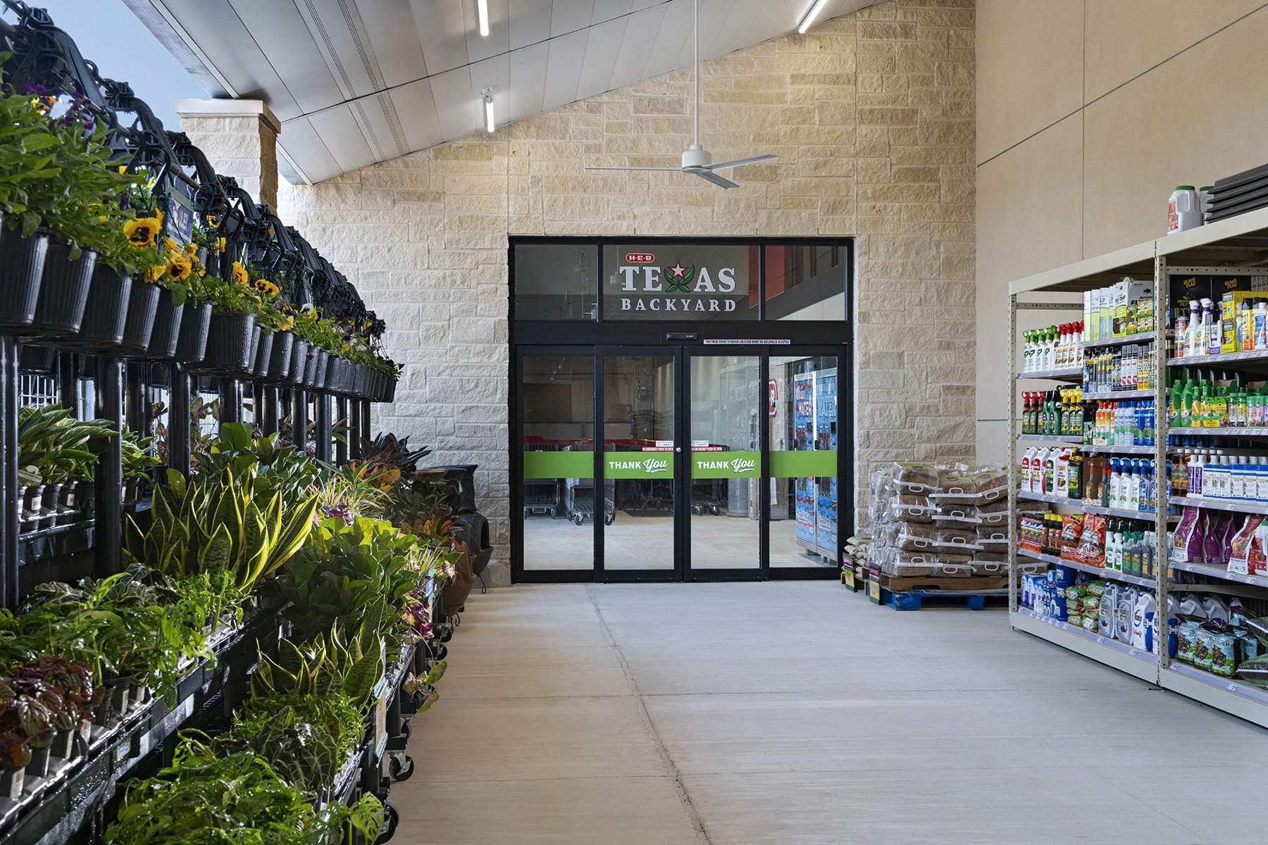 backyard interior AB.jpg