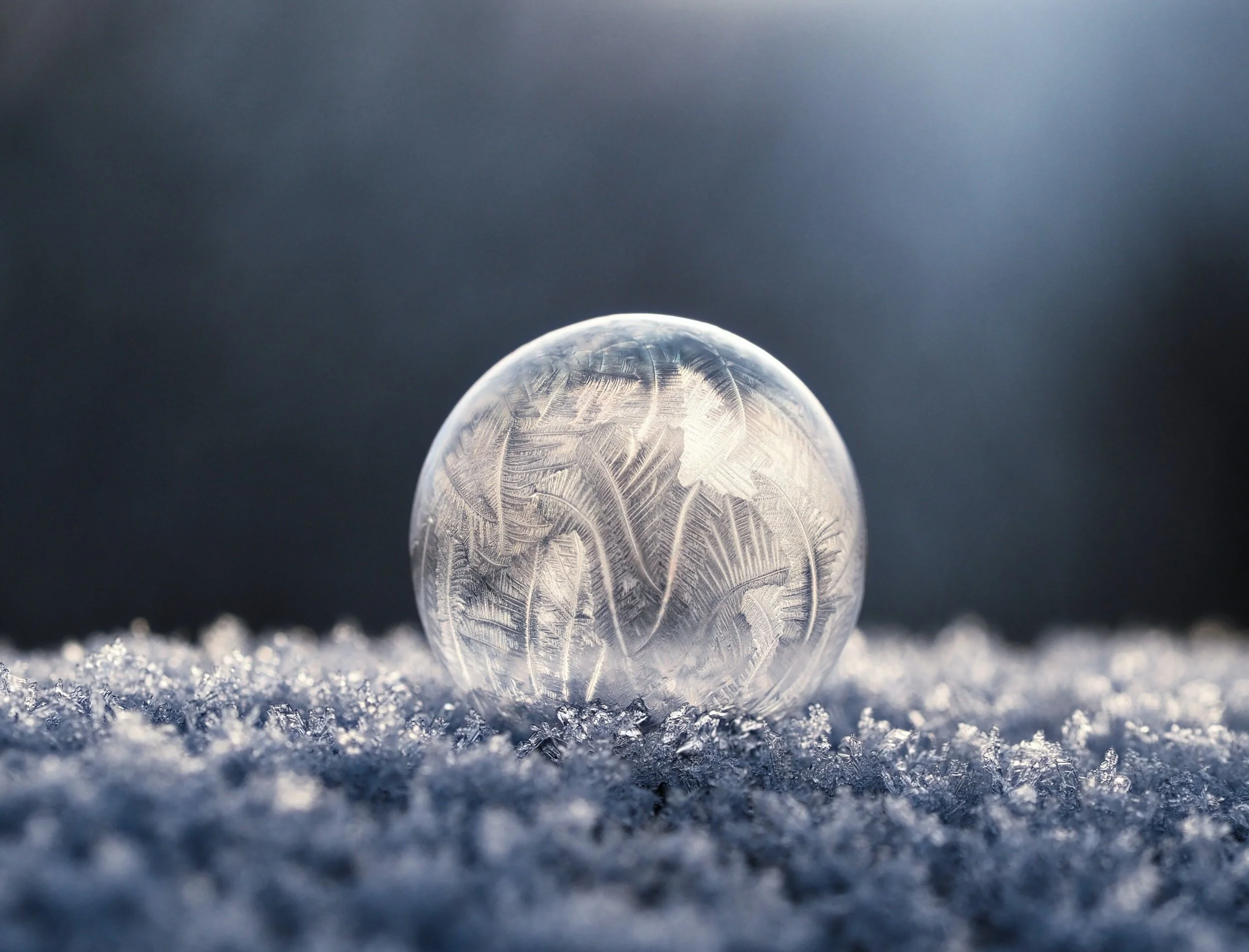 Winter Solstice Soundbath with Jeffrey Warren & Lauren Rainbow - Online and In Person