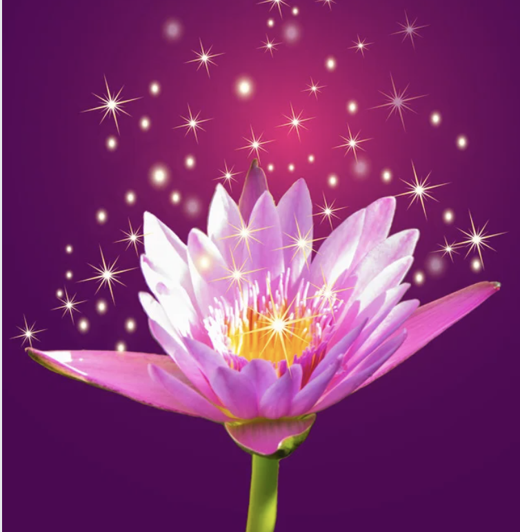 Magnified Healing Level 1 Training & Certification