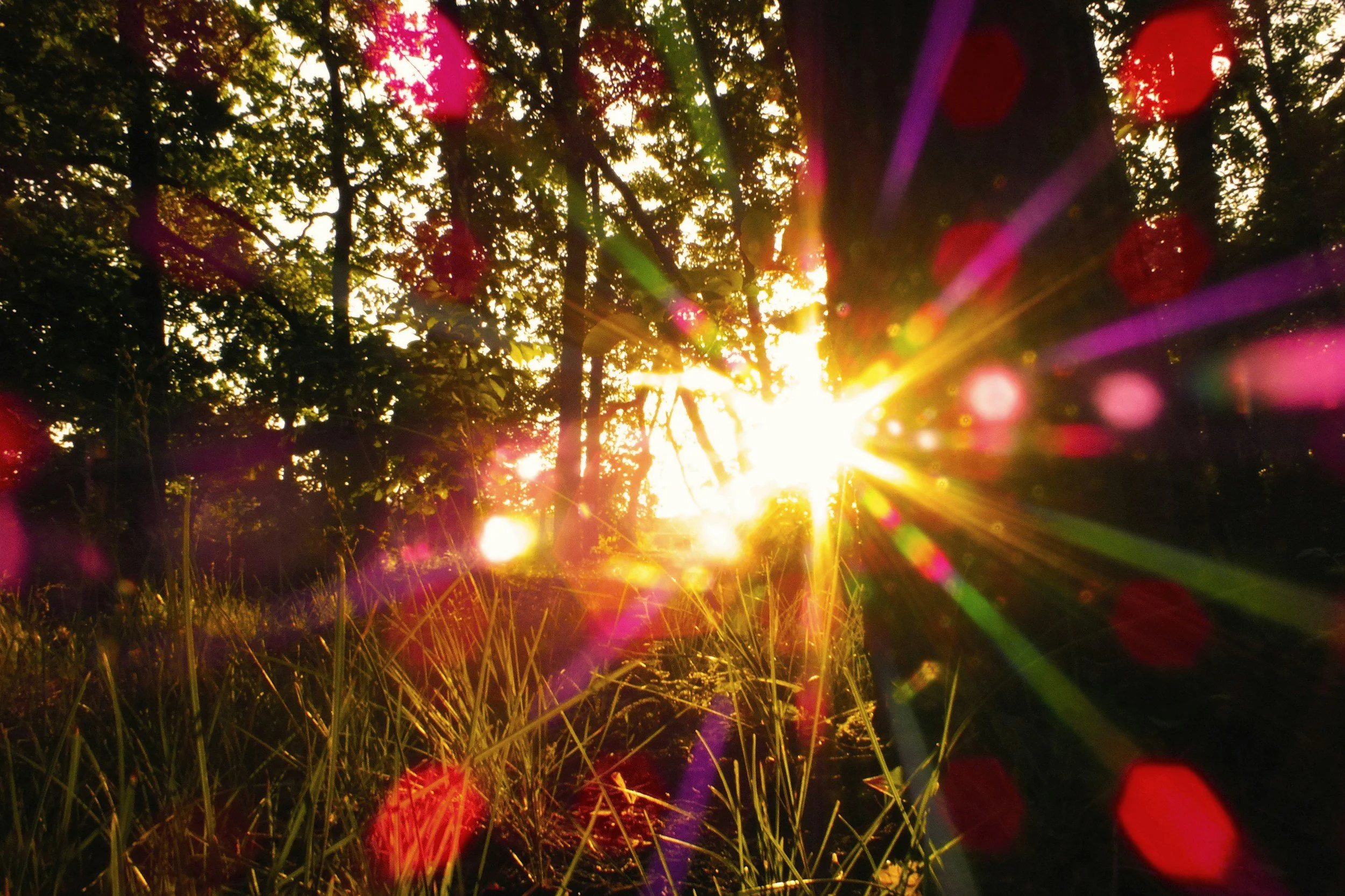 Summer Solstice Soundbath + Energy Healing Meditation with Jeffrey Warren and Lauren Rainbow (Online + In Person)