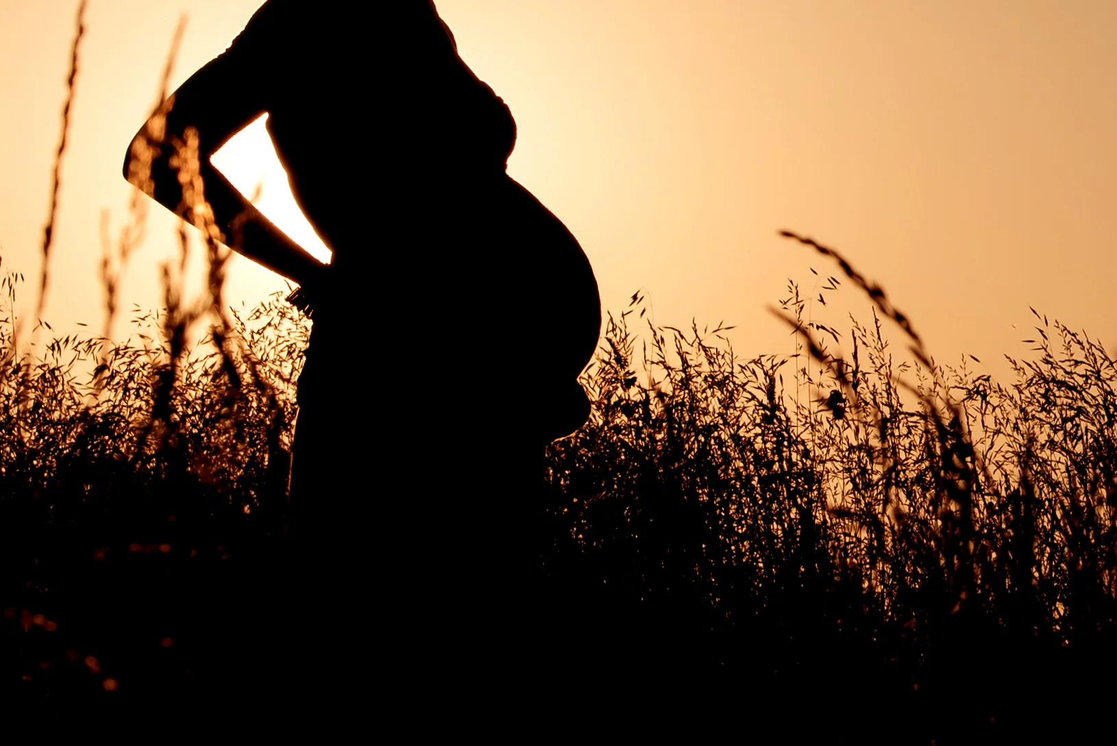 maternity photographer nashville tn | maternity photographer bowling green ky | southern kentucky maternity photographer | soky maternity photographer | outdoor maternity session | sunset maternity session | baby bump silhouette | family maternity session bowling green ky | family maternity session nashville tn | nashville photographer | bowling green photographer | kentucky photographer | nashville baby photographer | nashville newborn photographer | newborn photographer in nashville | baby photographer in nashville | bowling green baby photographer | bowling green newborn photographer | newborn photographer in bowling green | baby photographer in bowling green ky | maternity boudoir photographer nashville | silhouette maternity photo nashville tn | baby bump silhouette