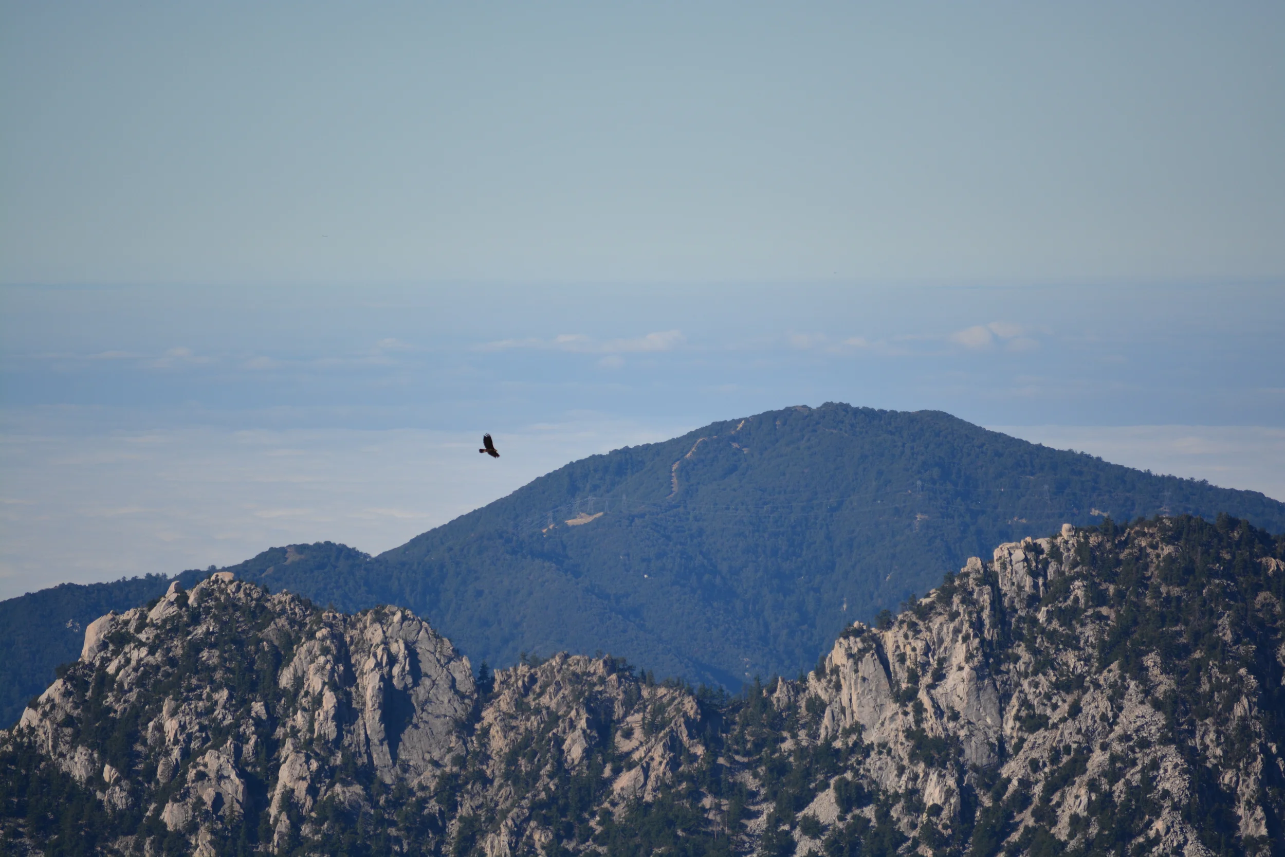 DSC_0046.jpg