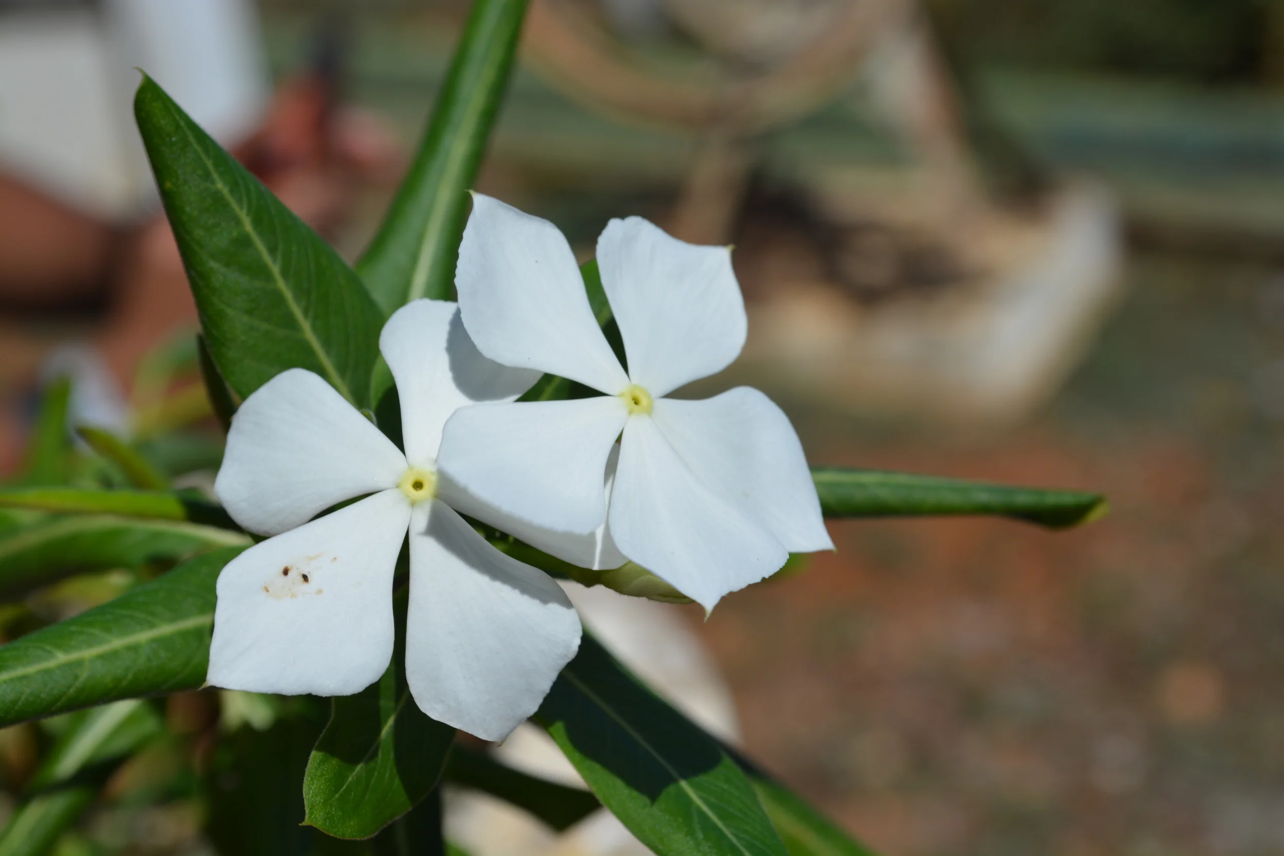 Welcome to Delightpublishing!