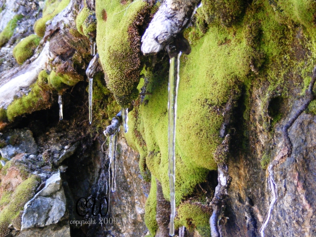 Trail to Cooper Canyon Falls, Angeles National Forest