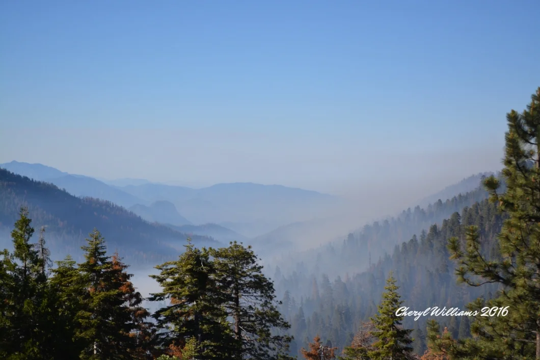   Hwy 180 to Kings Canyonal National Park