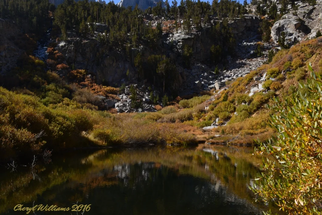 Trail to Gilbert Lake