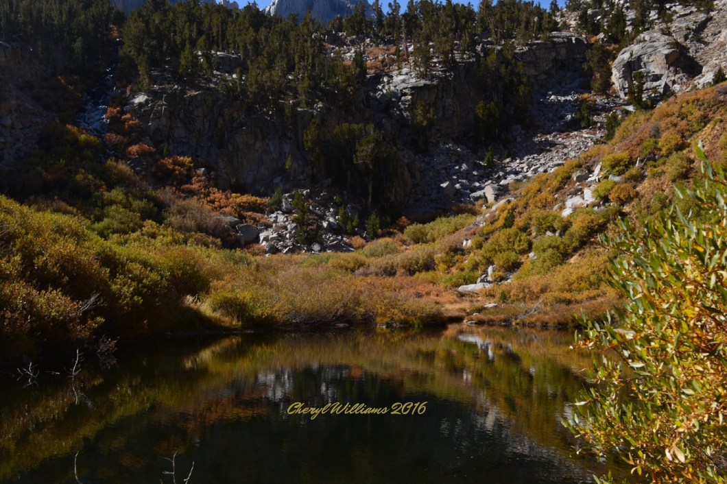DSC_0540- Gilbert Lake.JPG