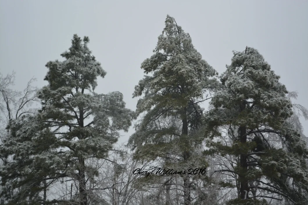 DSC_1410.JPG