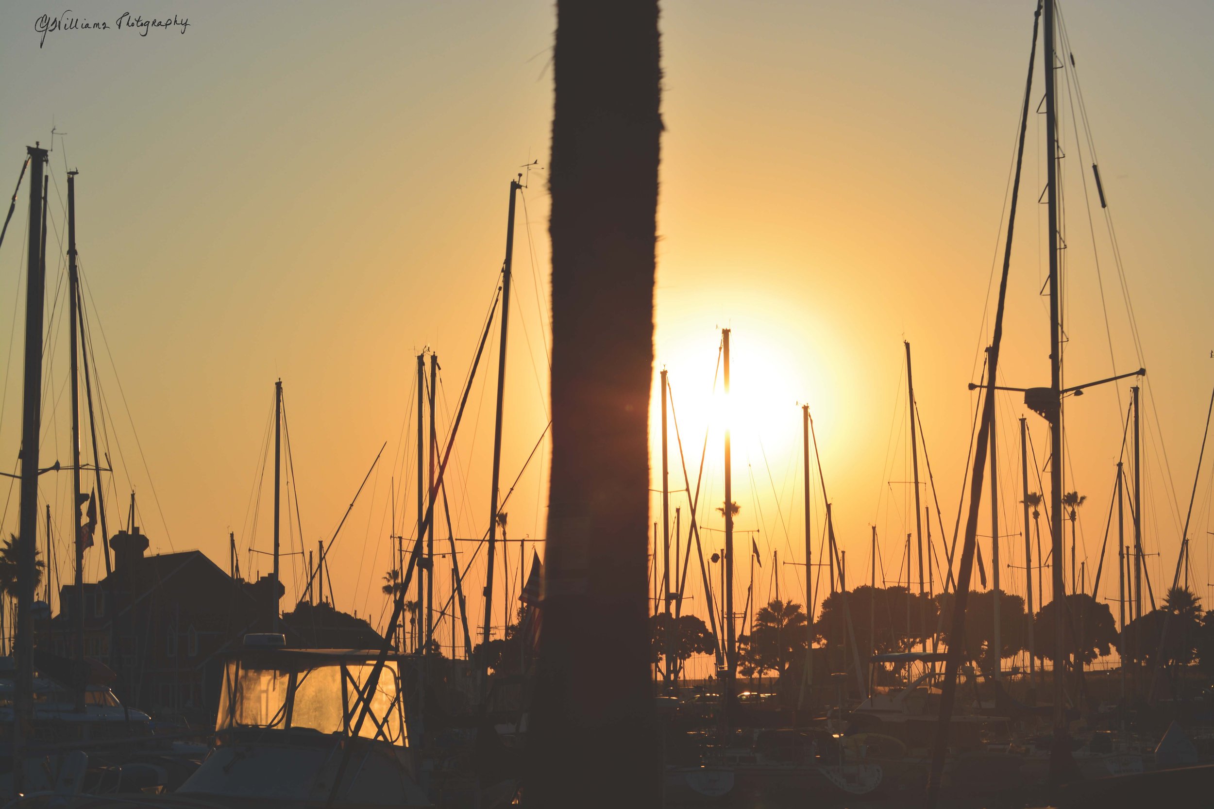 HarborPier Sunset (1).jpg