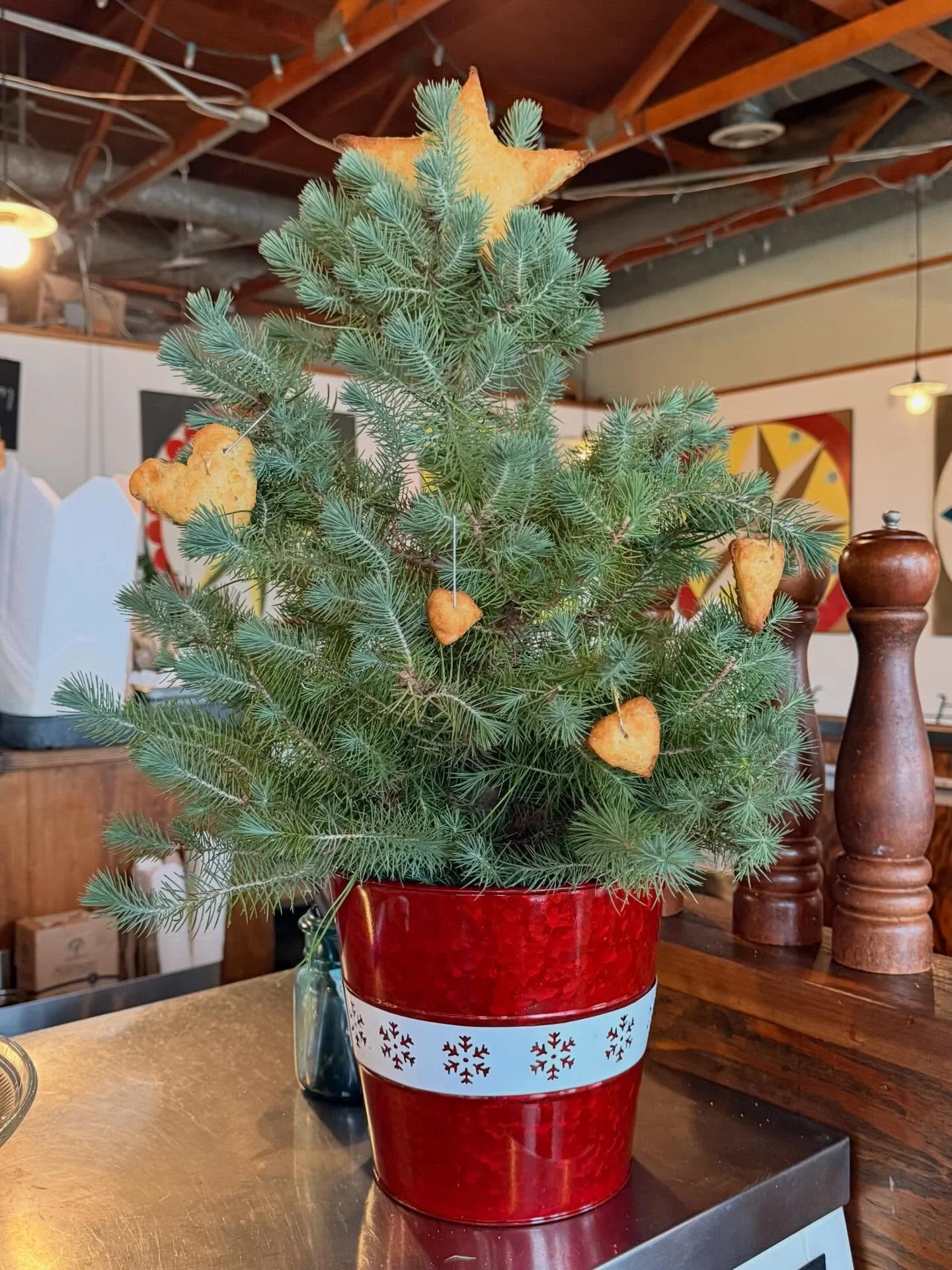 happy holidays everyone! our hours over the festivities will be: 
Christmas Eve, we&rsquo;ll be open 4-8pm 🌟
Christmas Day, we&rsquo;ll be closed 🎄
New Year&rsquo;s Eve, we&rsquo;ll be open 4-9pm 🪩
New Year&rsquo;s Day, we&rsquo;ll be open 4-9pm ✨