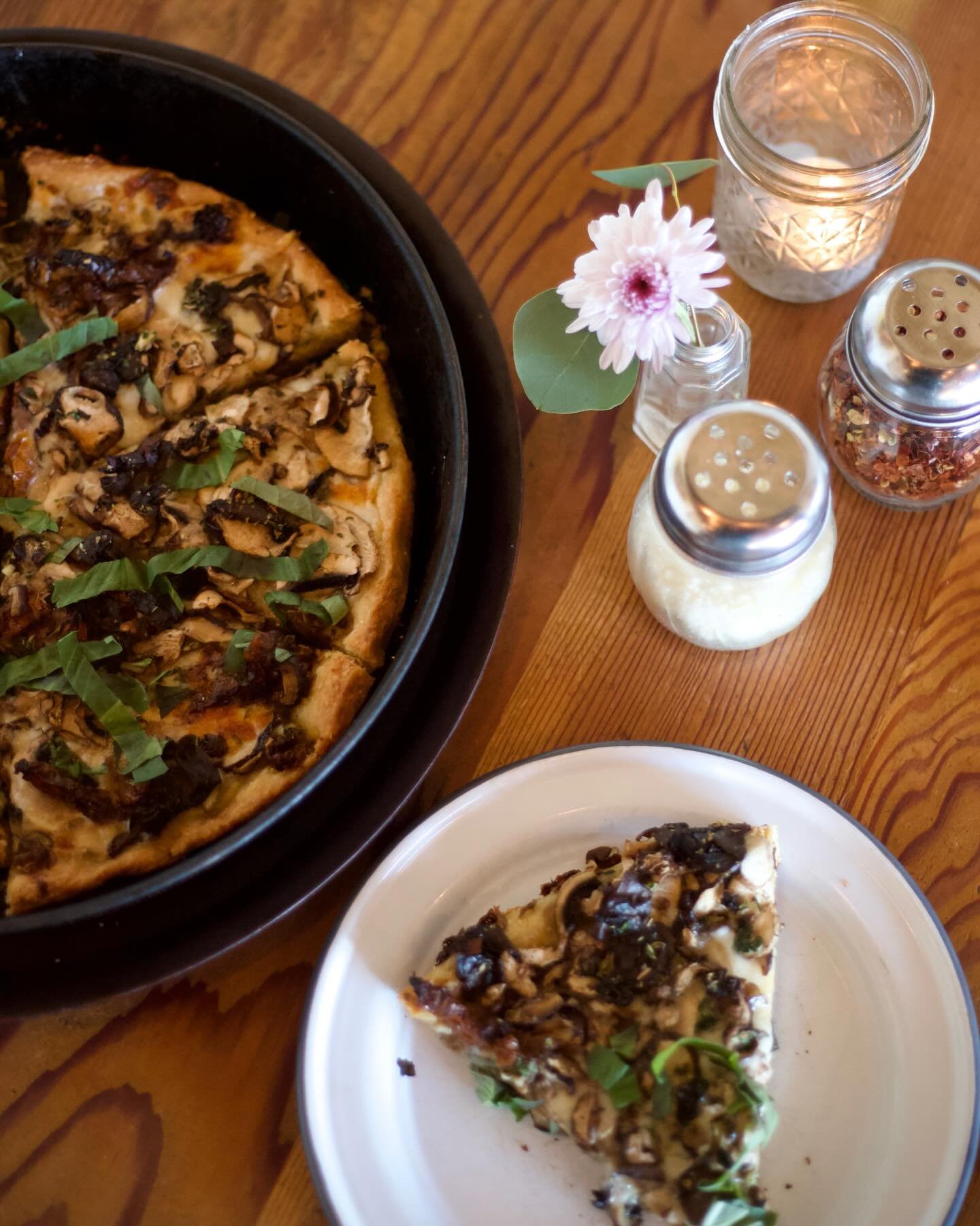 ✨🍄&zwj;🟫✨ 

thank you @br.itt___  for the 📸 💜