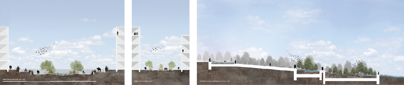 Various Cross and Longitudinal Sections showing the different urban conditions and the rain gardens and swales