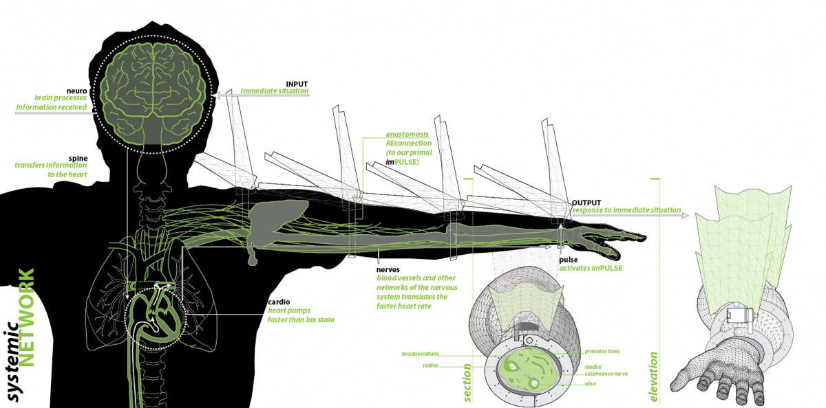 Systemic Network Diagram