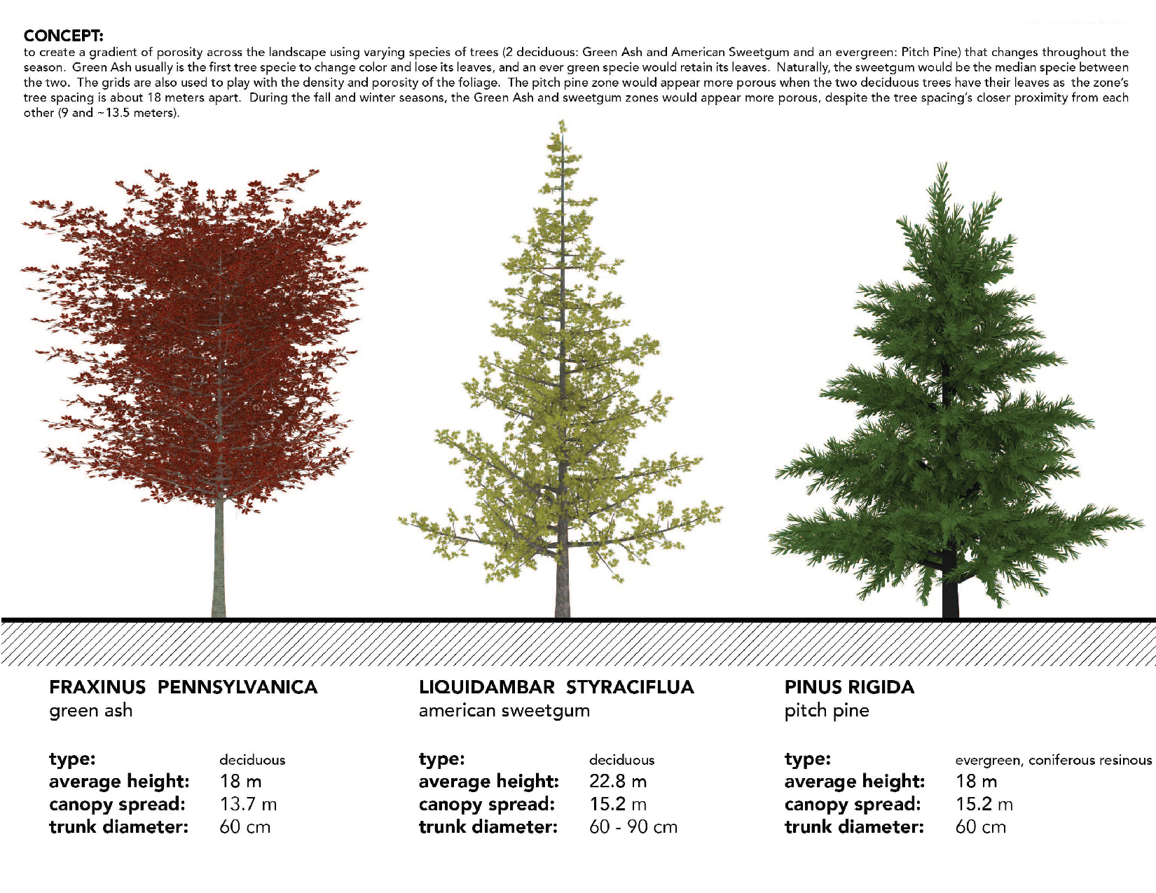 Plant Species used in the design