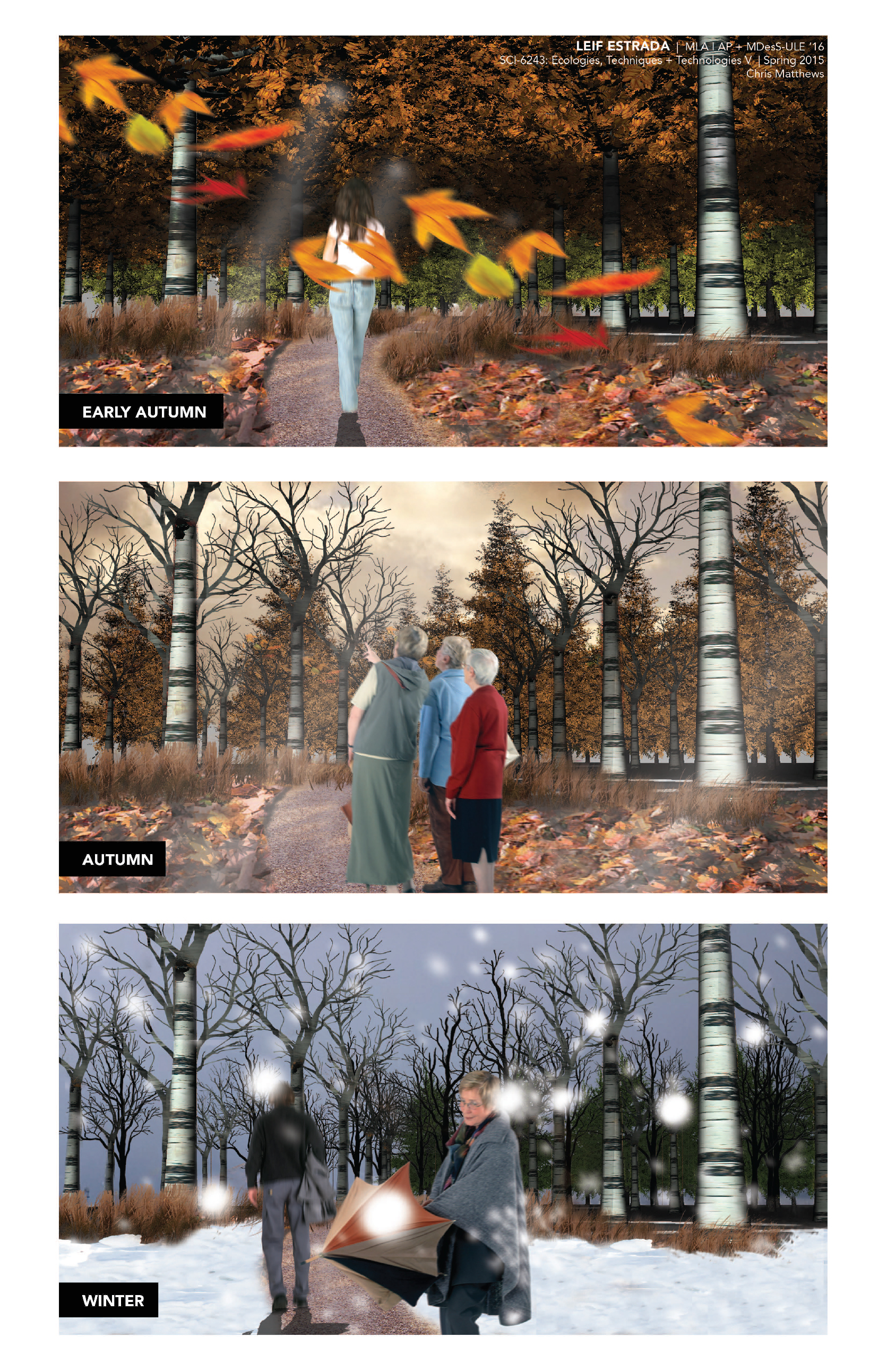 Seasonal Changes