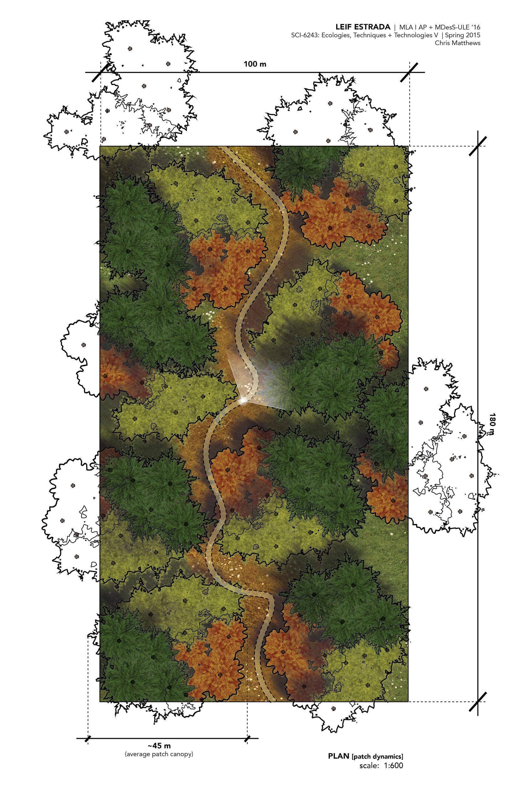 Forest Clumps