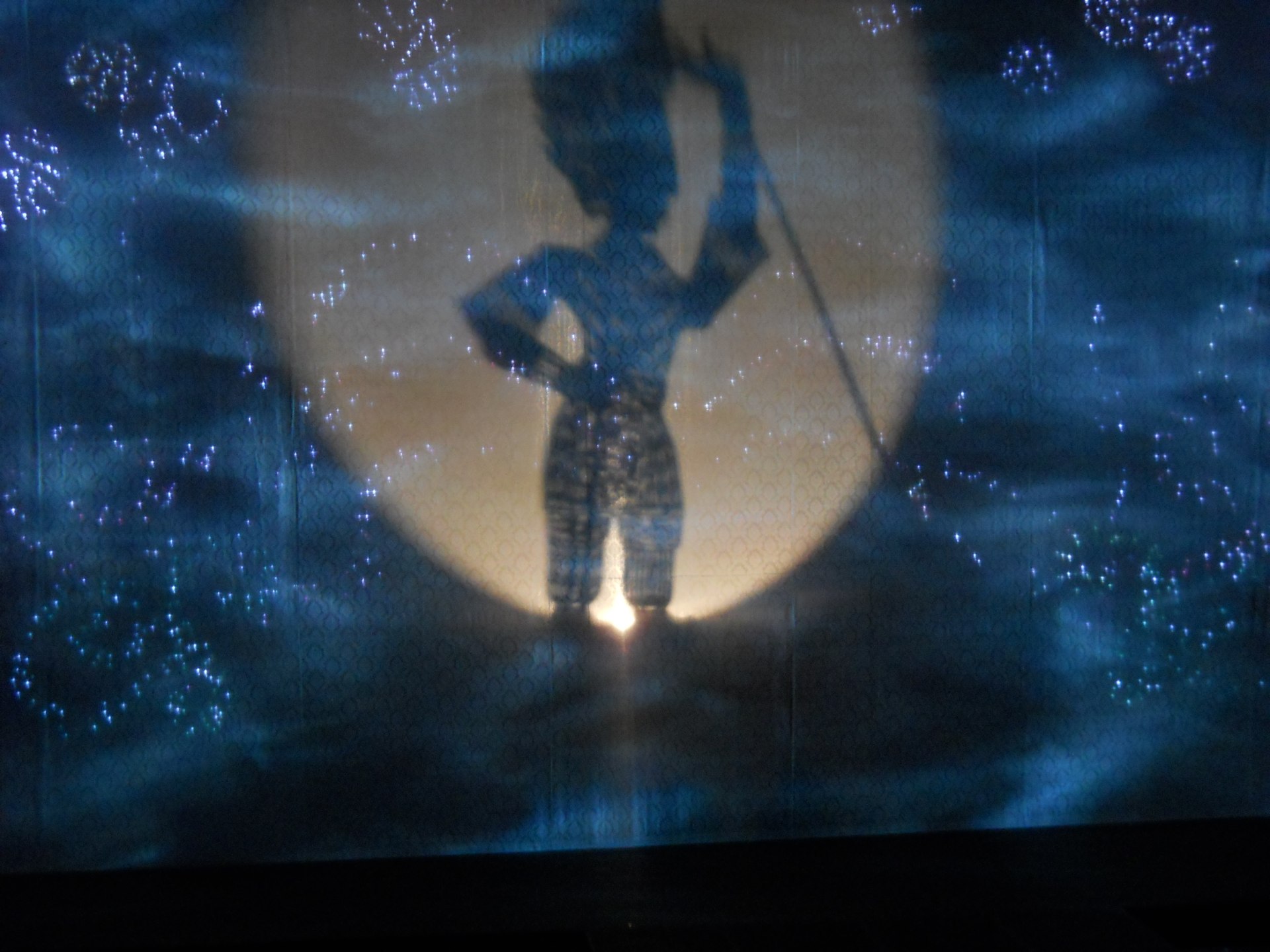 The Promise; Fruit Fly Circus