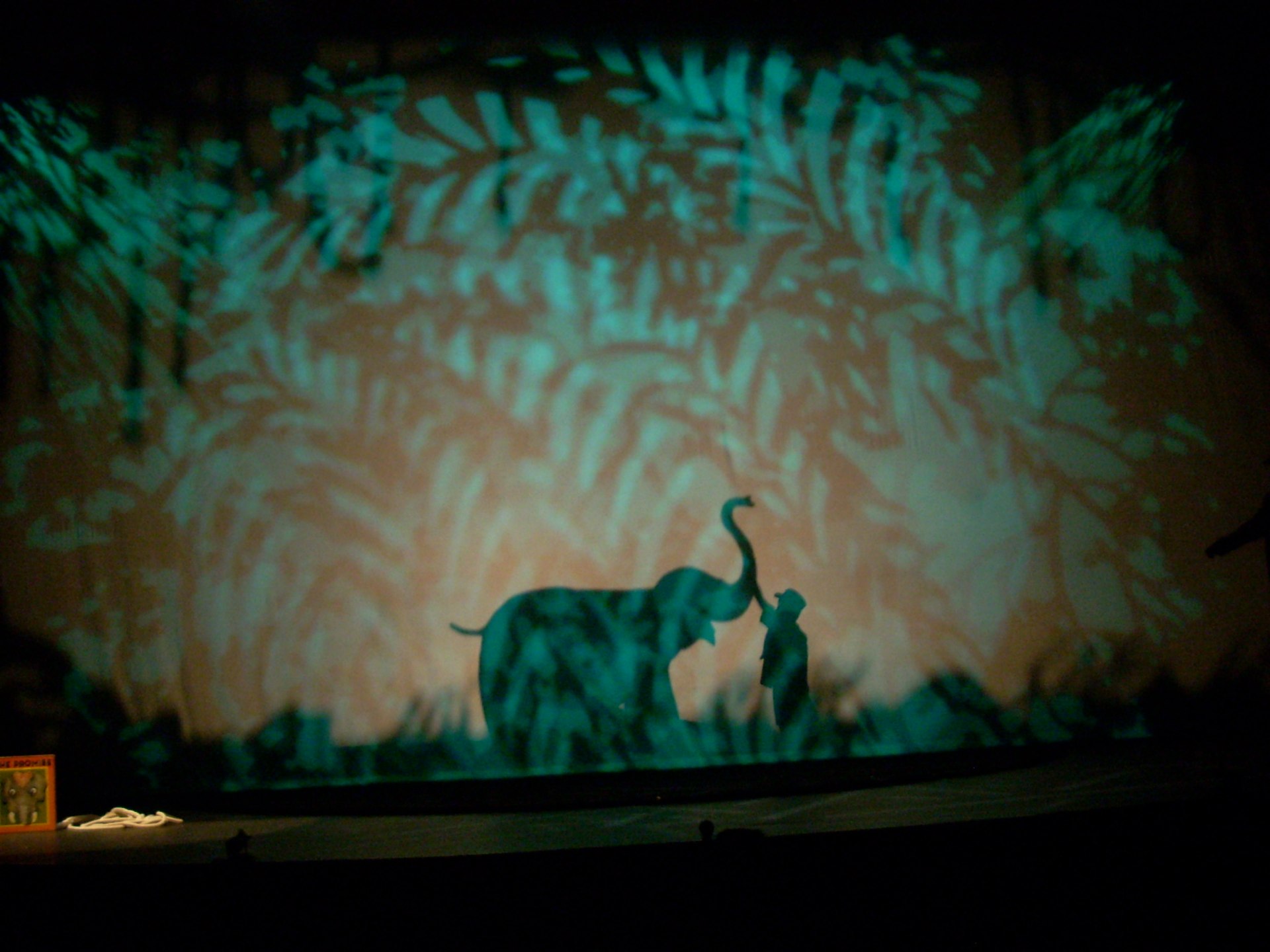 The Promise; Fruit Fly Circus