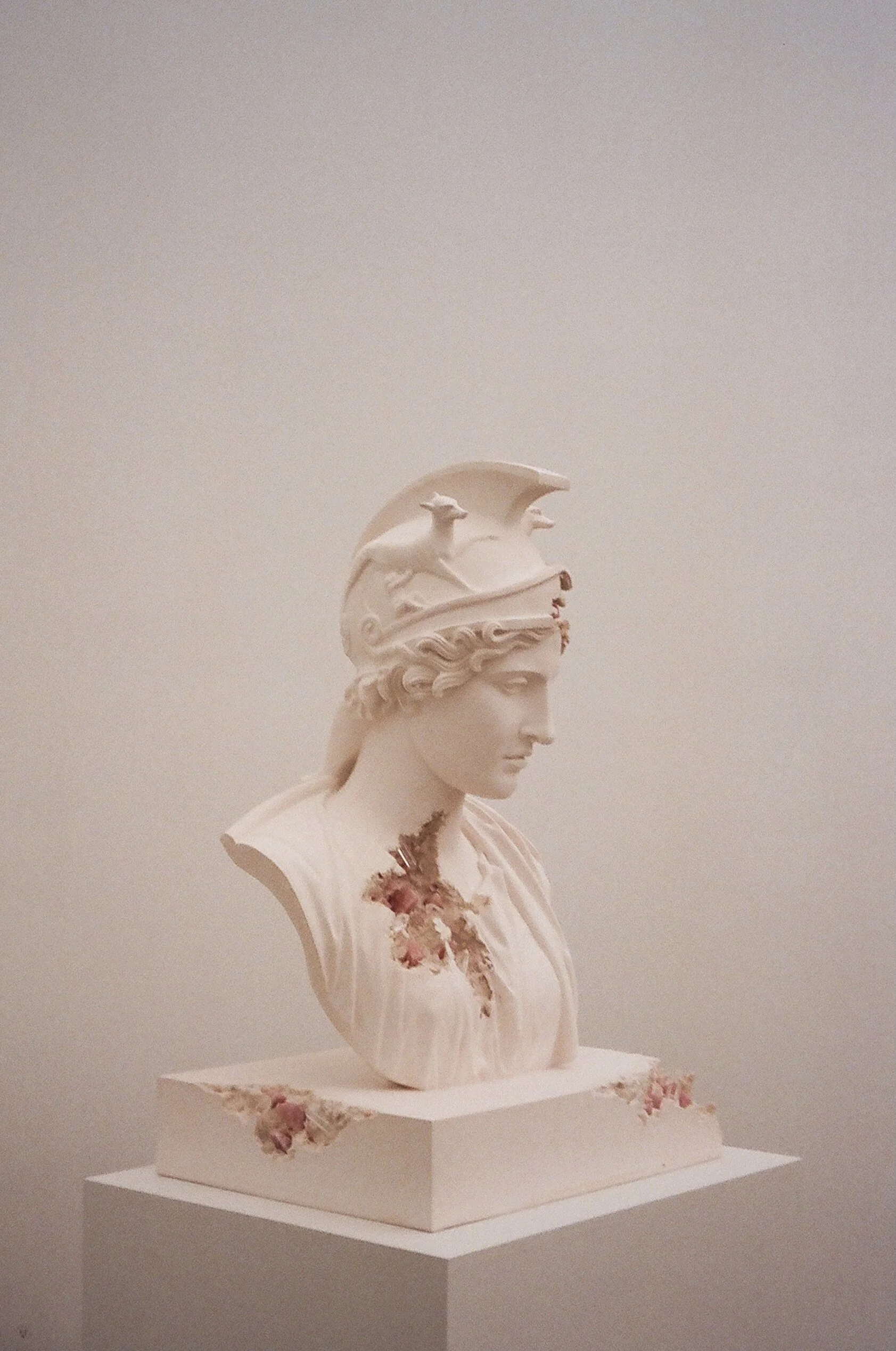 Daniel Arkham at Perrotin Gallery