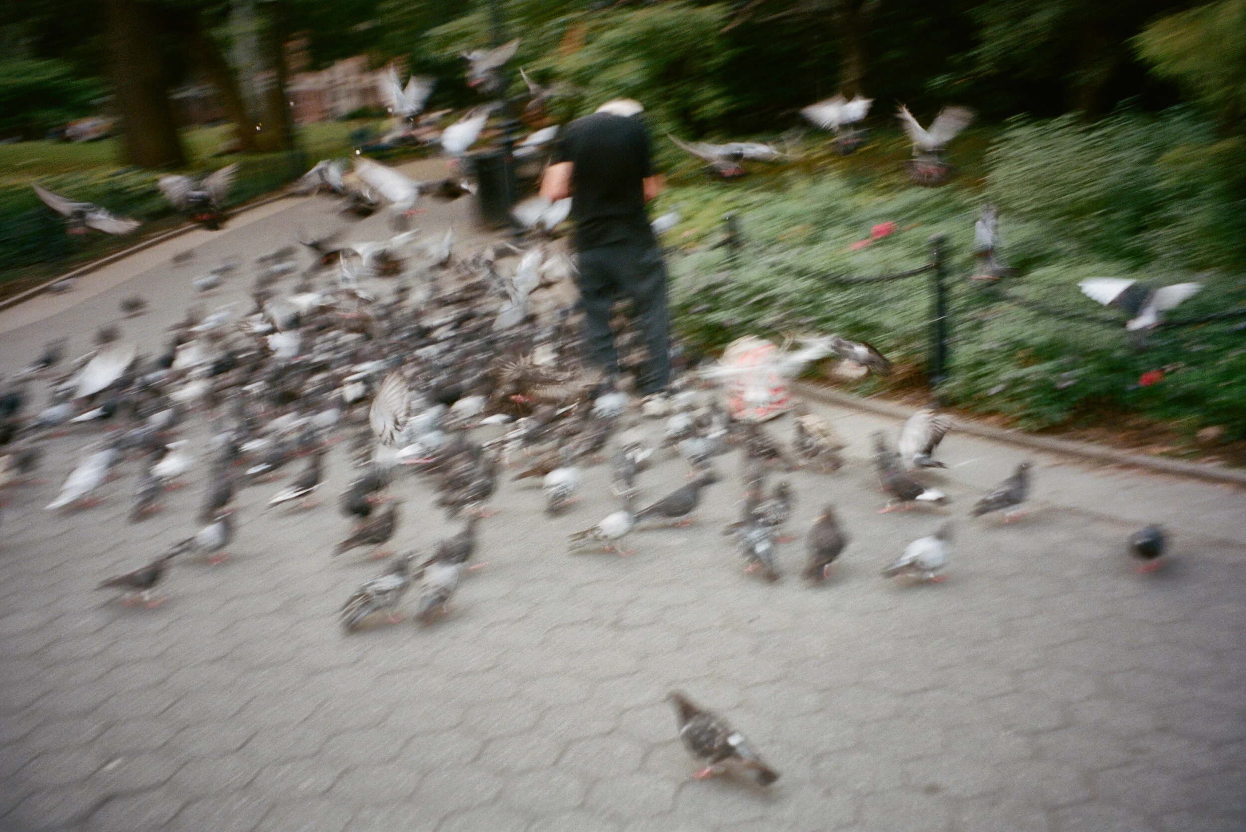 Washington Square Park NYC