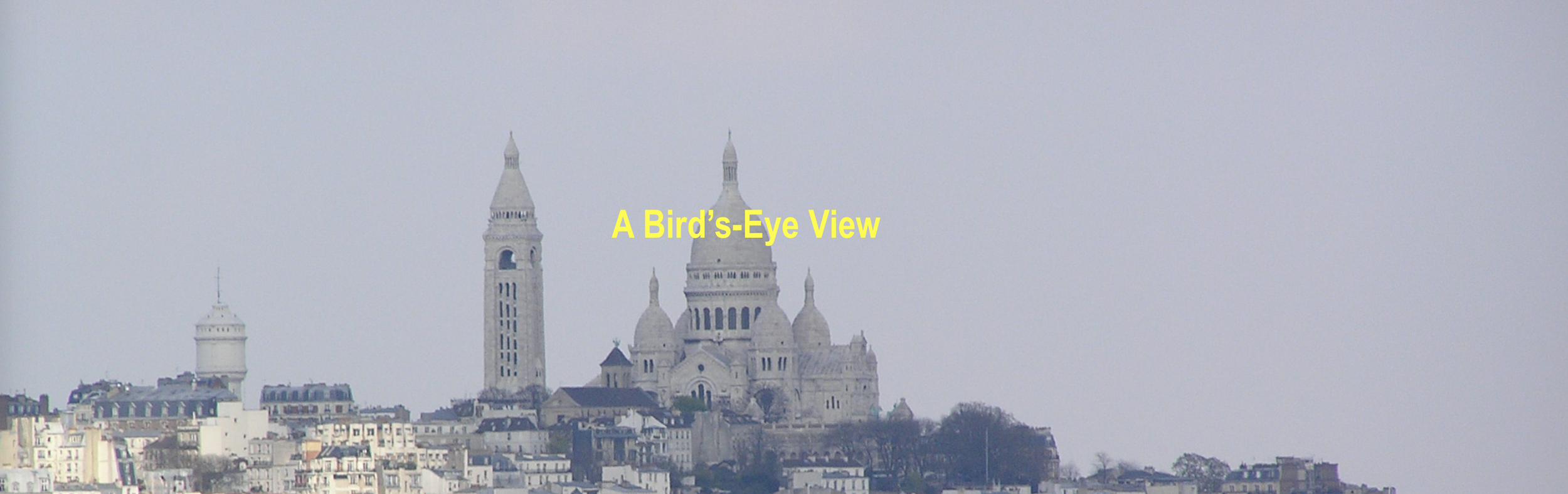 a birds eye banner.png
