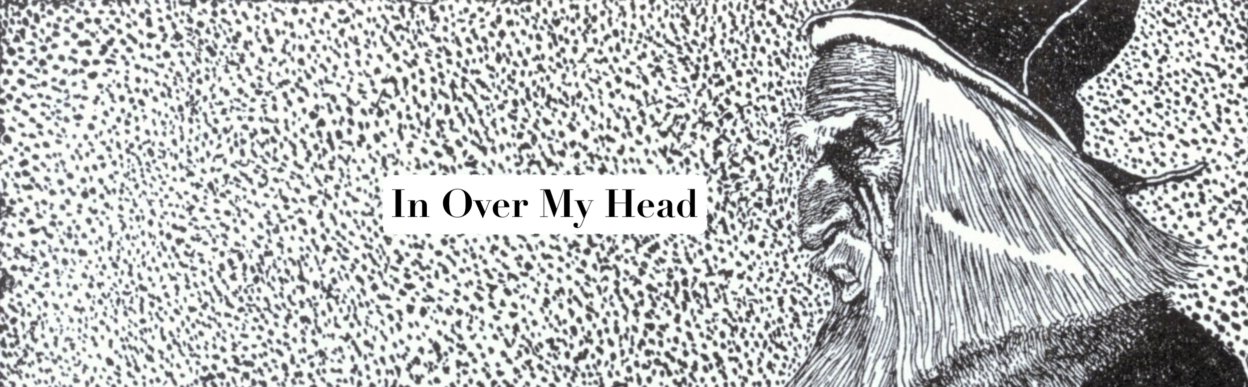 in over my head banner.png