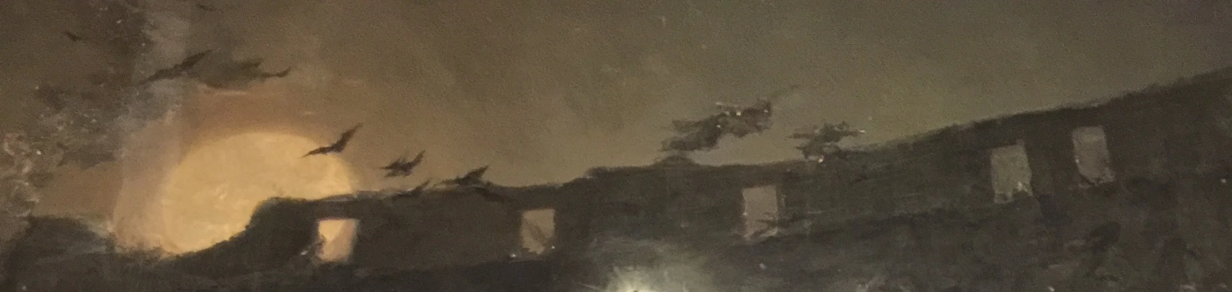 storm birds.jpg