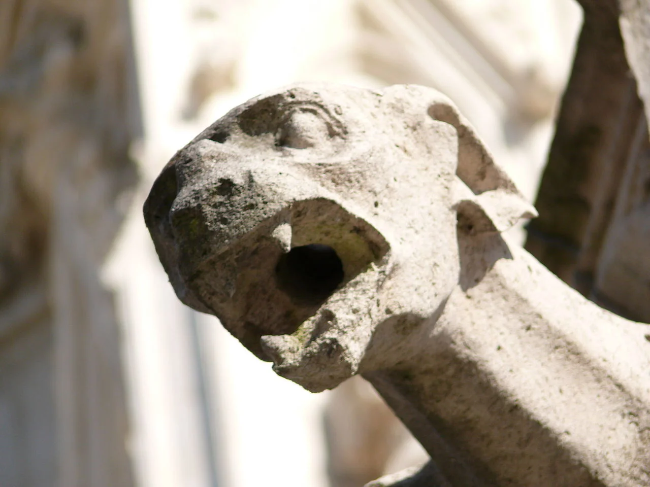 1280px-ND_Amiens_-_gargouille.jpg