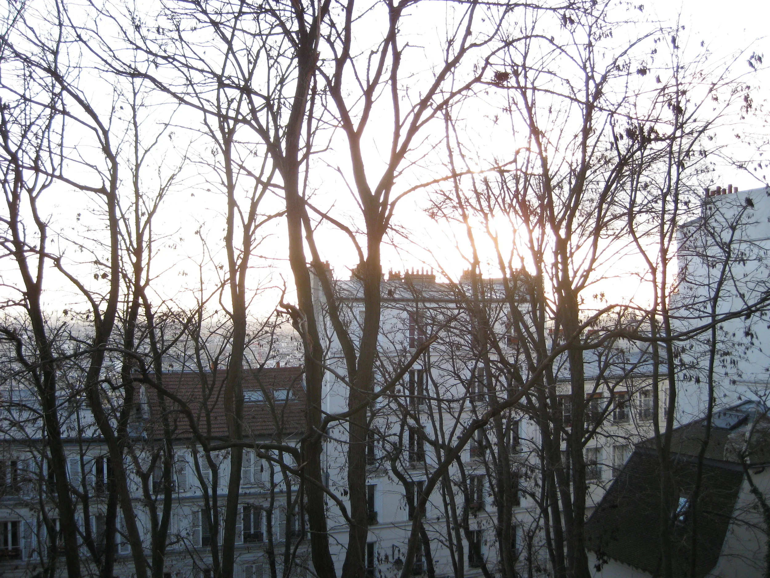 IMG_3984.jpg