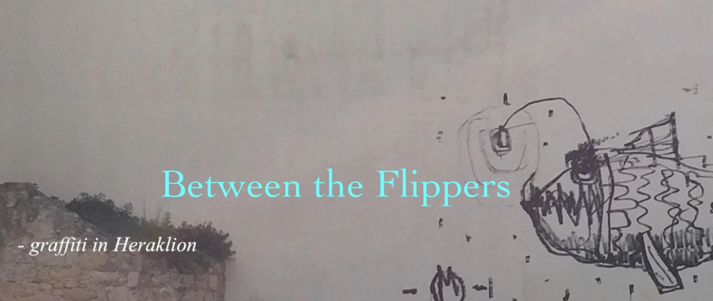 between flippers banner.jpg
