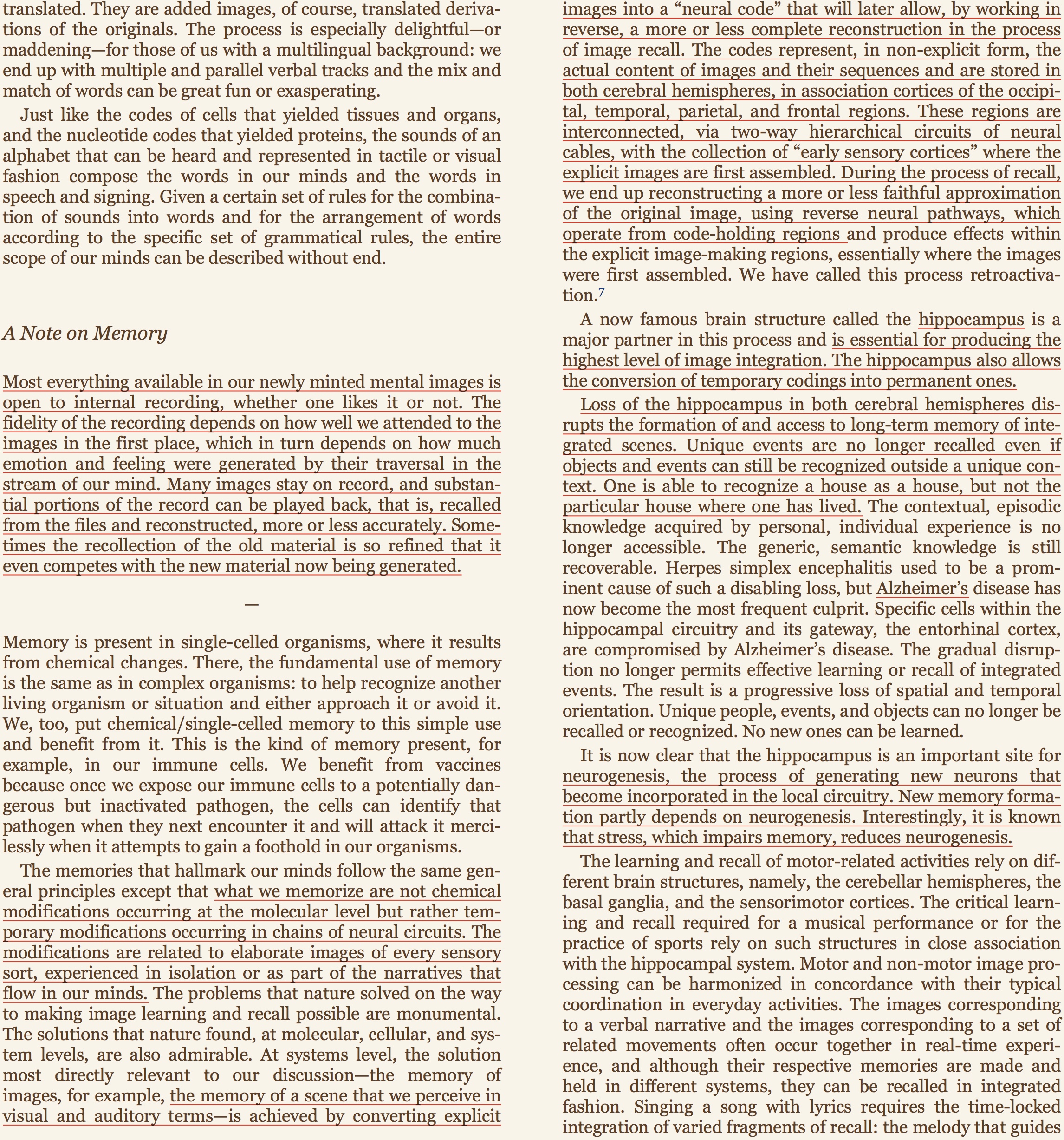 damasio excerpt.jpeg
