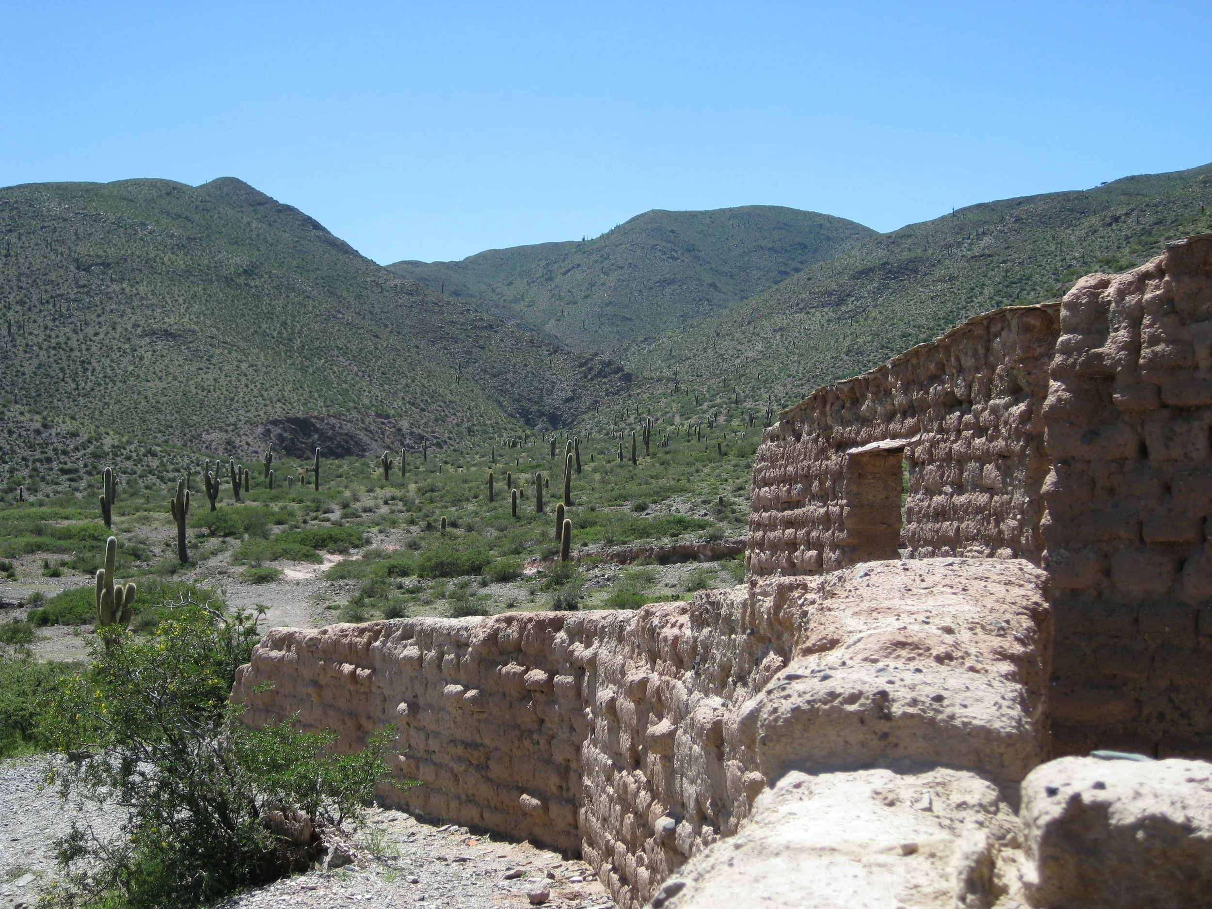 IMG_6273.jpg