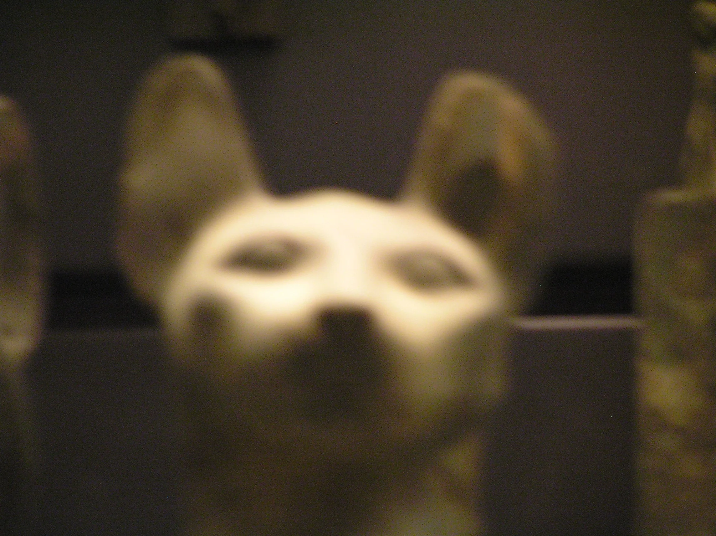 P4280167.jpg