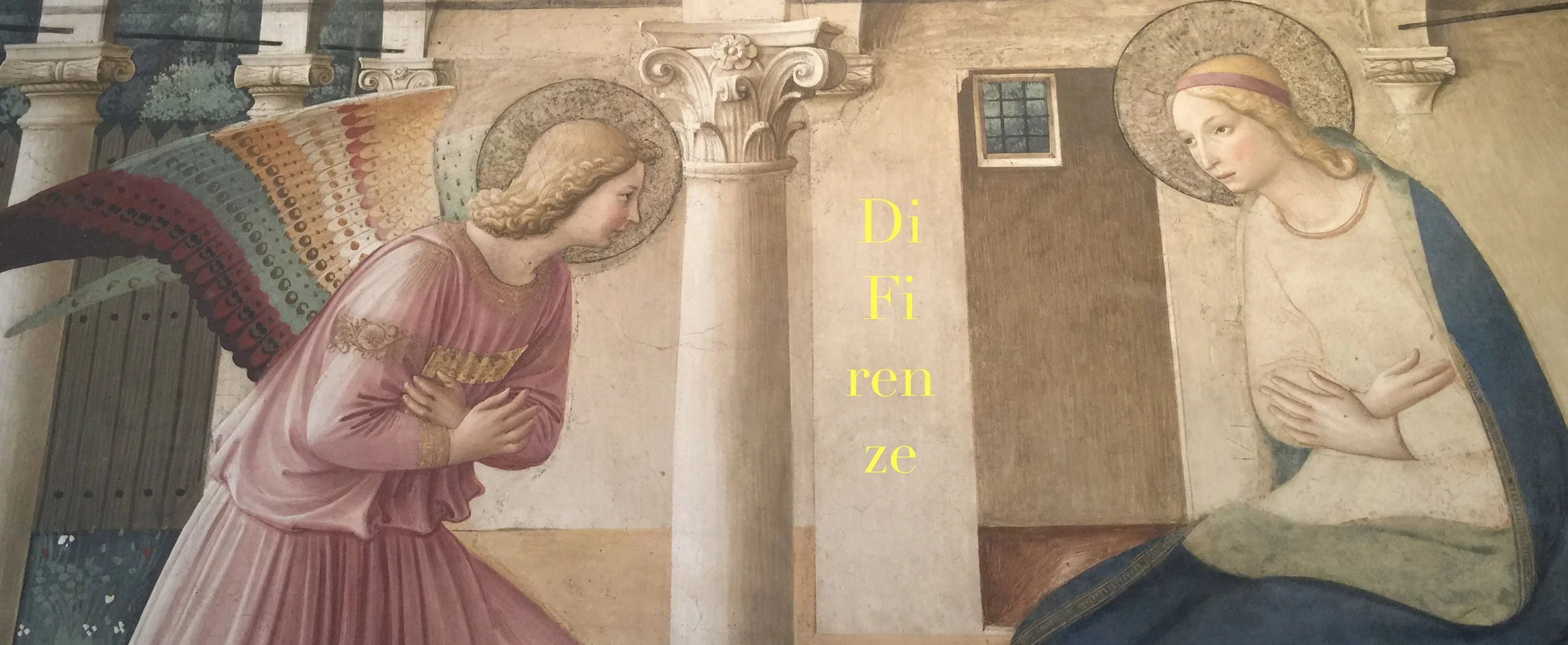 di fi banner.jpeg
