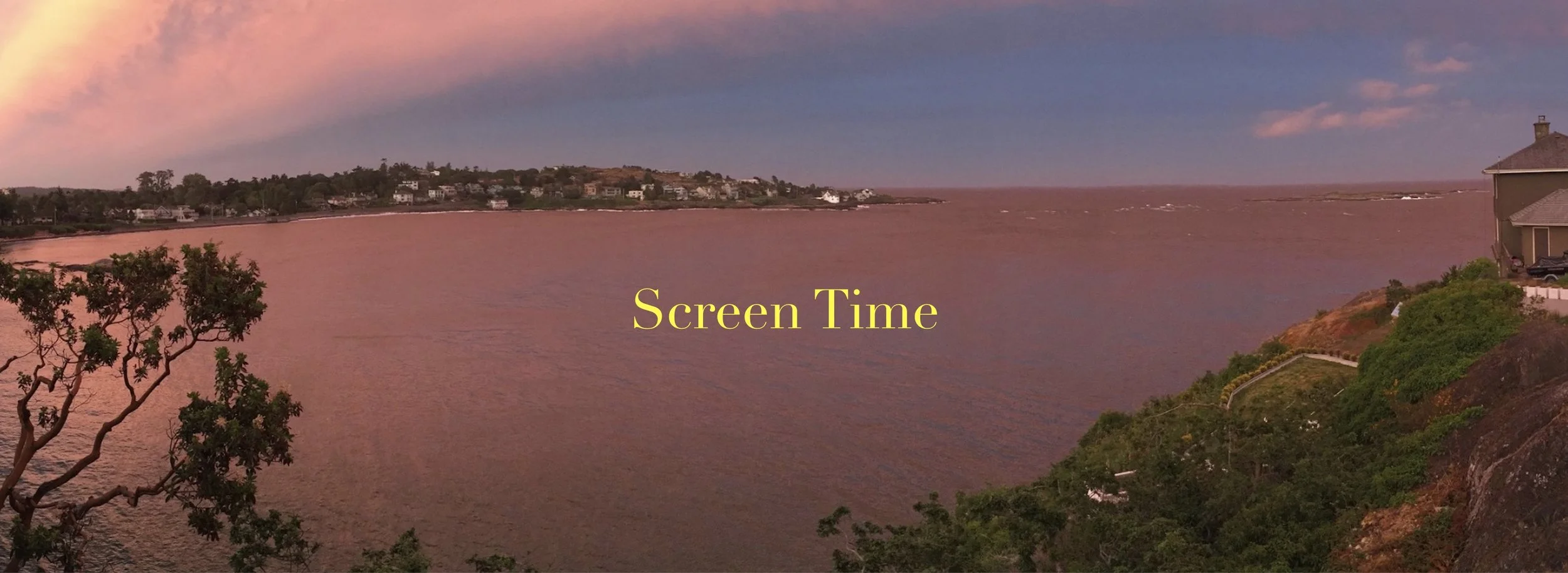 screen time banner 2.jpeg