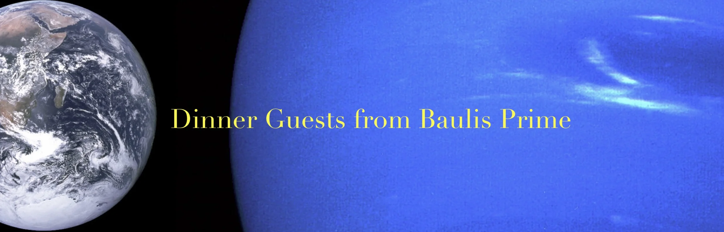 dinner guests banner 88.jpeg