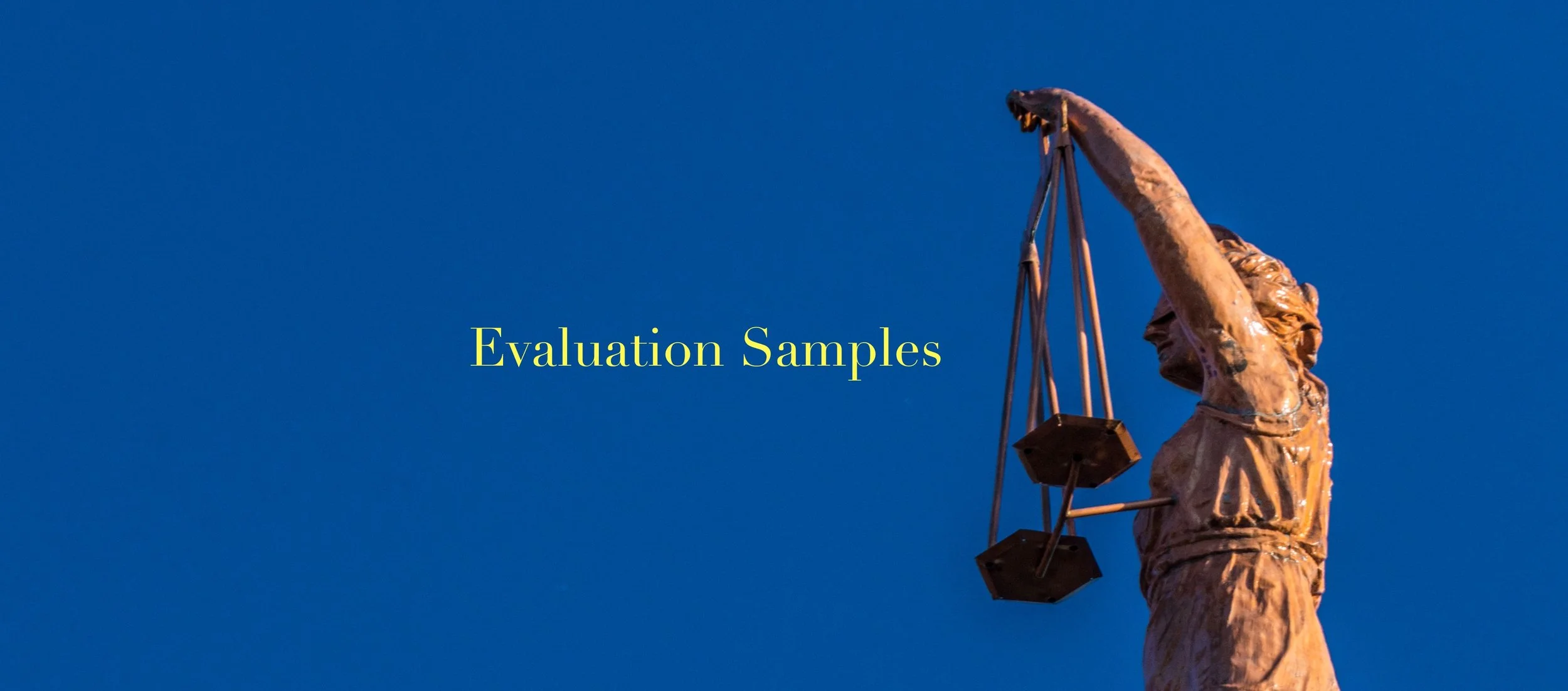 evaluation samples banner grab.jpeg