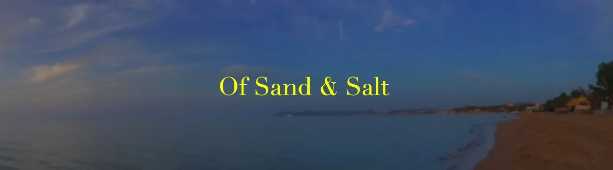 sand and salt banner final grab.jpeg