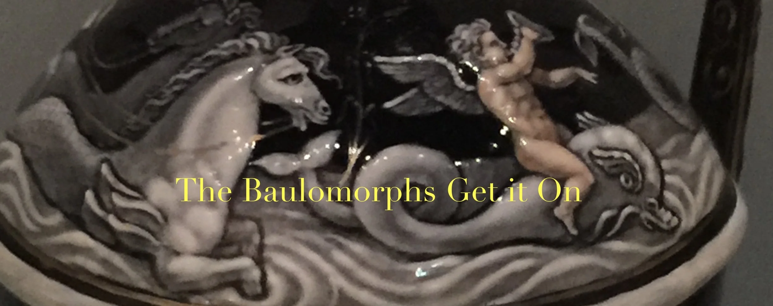 baulo party banner grab.jpeg