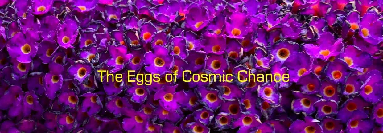 eggs of cosmic chance banner.jpeg