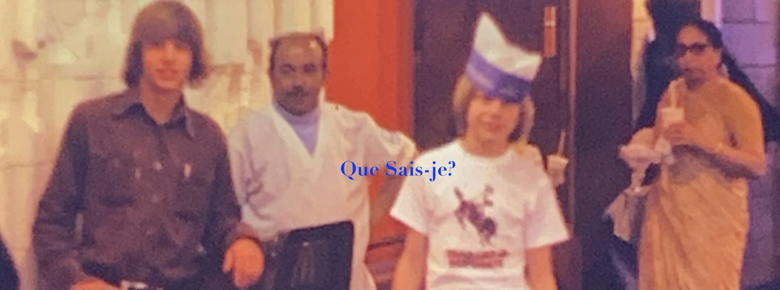 que sais-je mcdonalds.jpeg