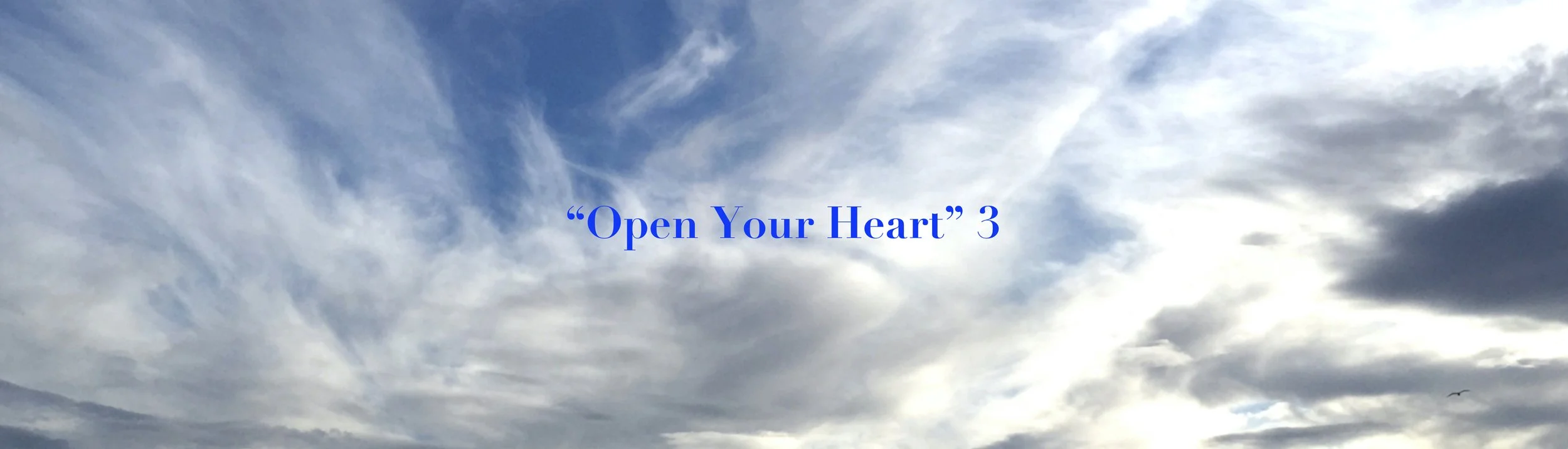 open heart 3.jpeg
