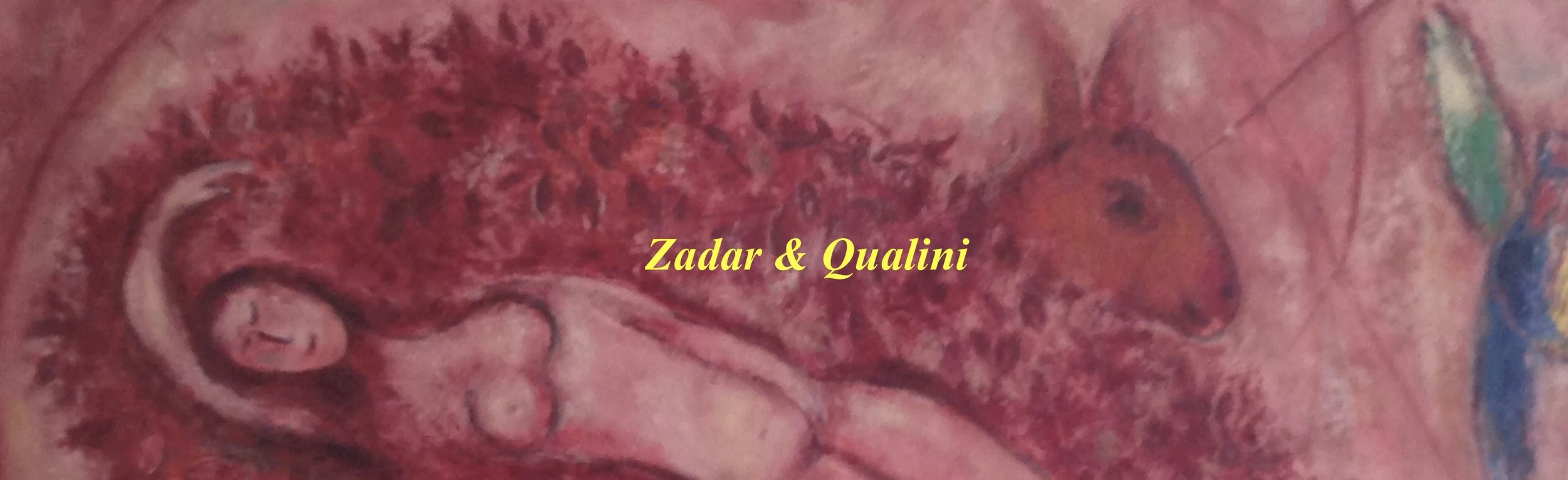zadar n qual bannar.jpeg